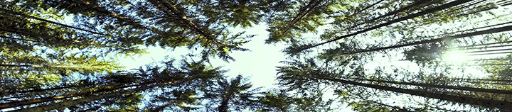 About Banner